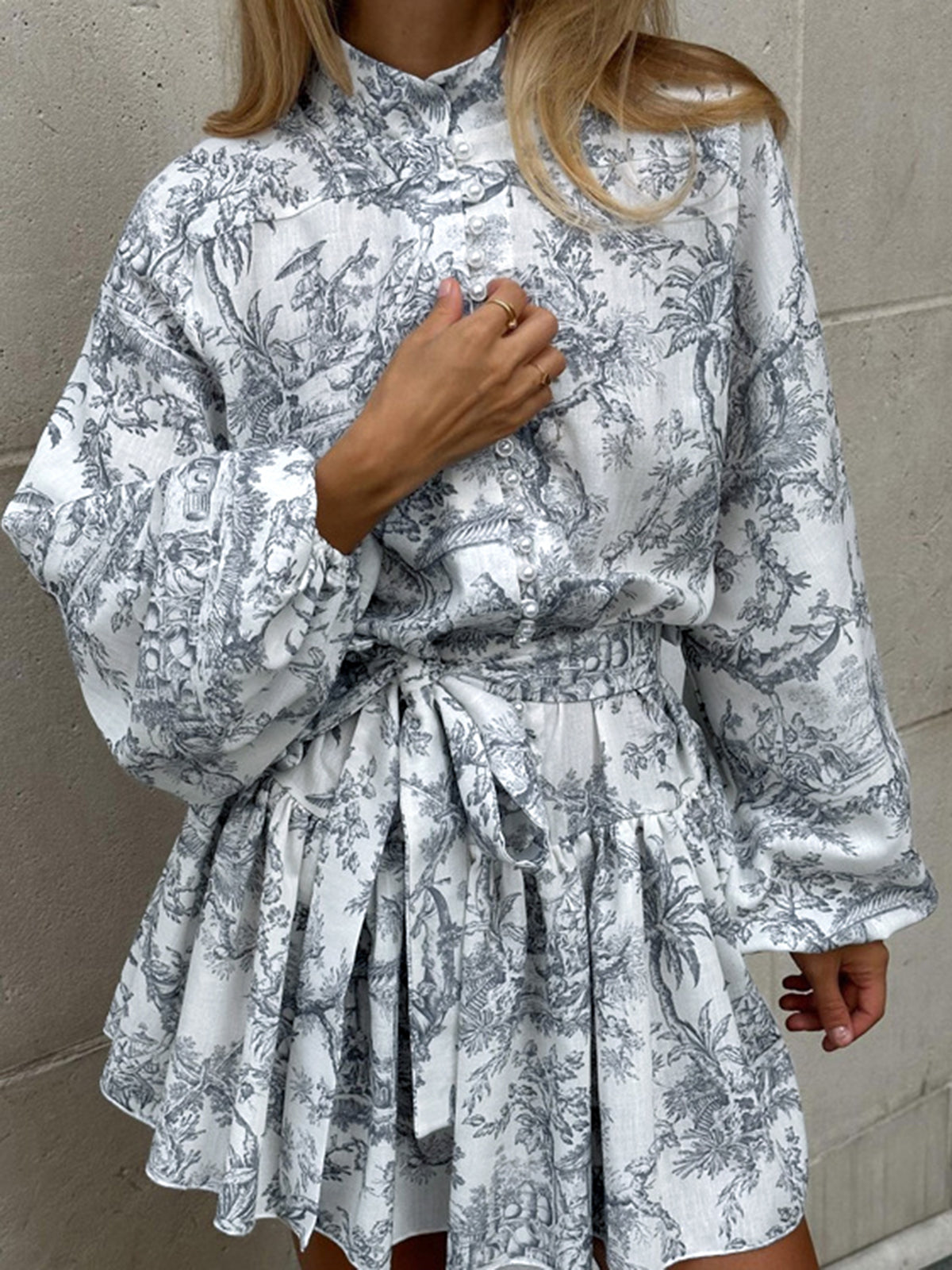 Women's A-Line Dress - Toile de Jouy Print - Fit-and-Flare - Long Sleeve High Collar by Lumina Vancouver